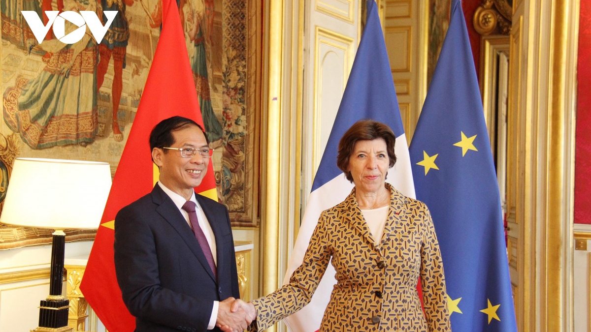 Vietnam, France look towards stronger strategic partnership